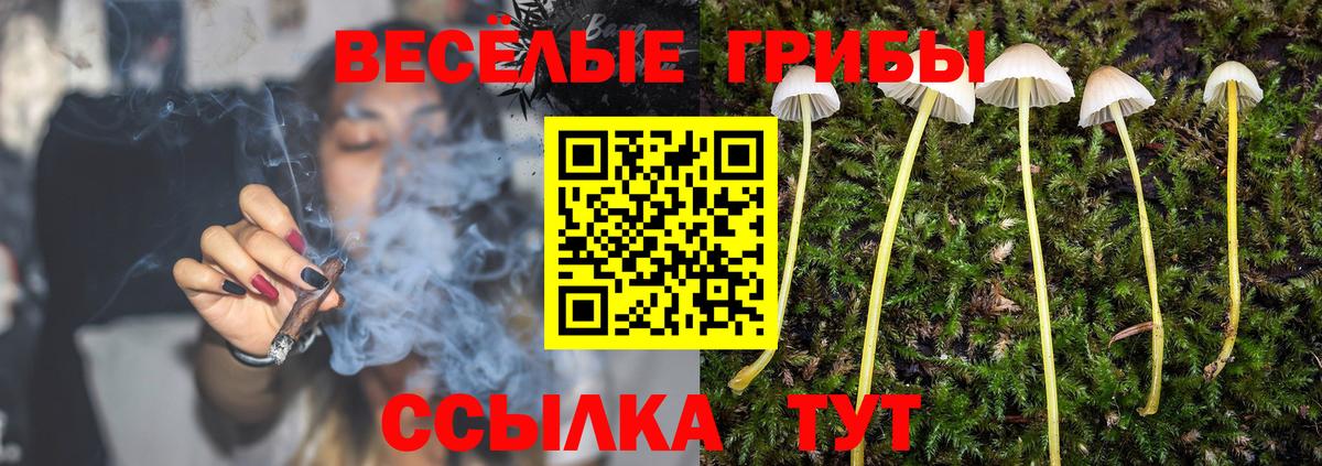 Псилоцибиновые грибы мицелий  Вход с VPN  Сочи 