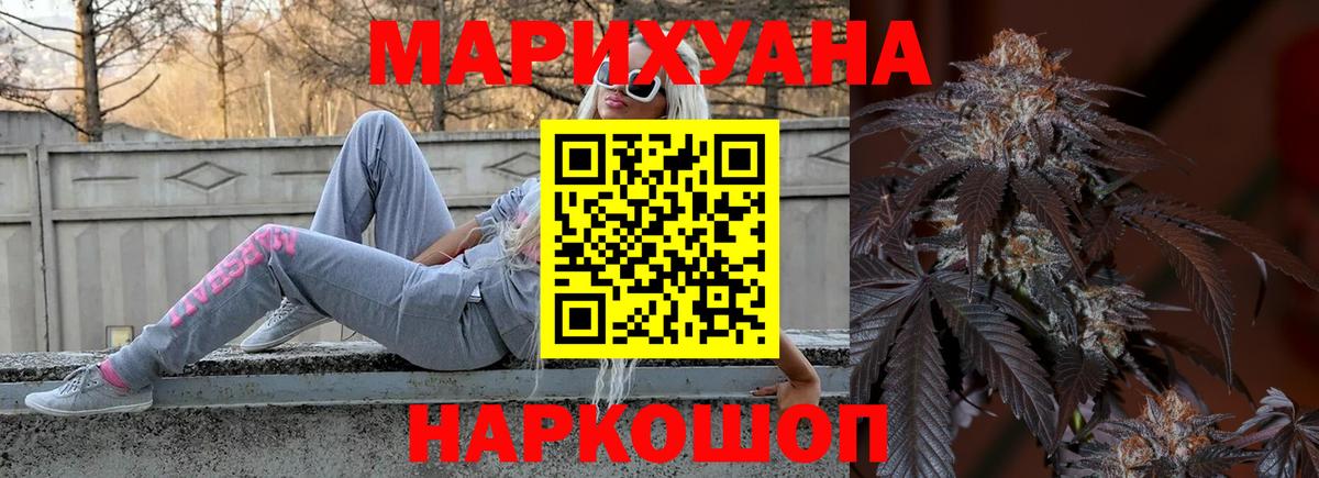 Конопля конопля Сочи
